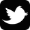 Twitter icon